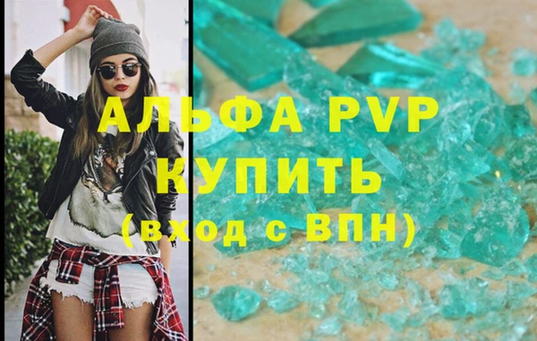 spice Аркадак