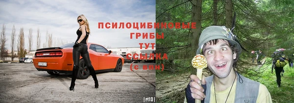 молекула духа Алзамай