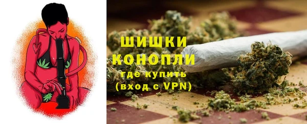 spice Аркадак