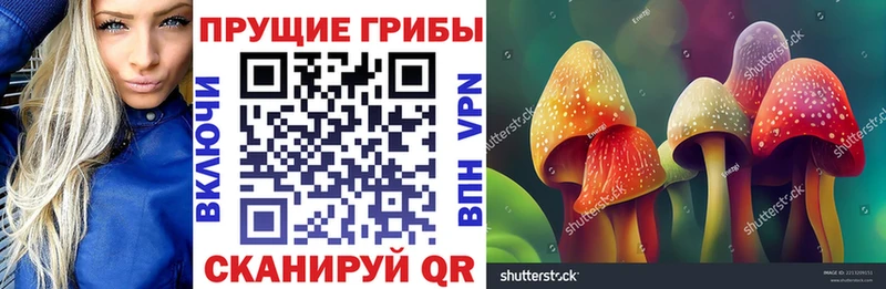 наркотики  Кологрив  ОМГ ОМГ зеркало  Галлюциногенные грибы ЛСД 